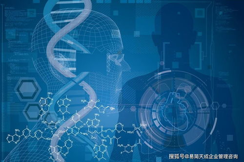 聊城医疗器械公司资质申请 第二类医疗器械经营备案凭证与第三类医疗器械经营许可材料及流程详解